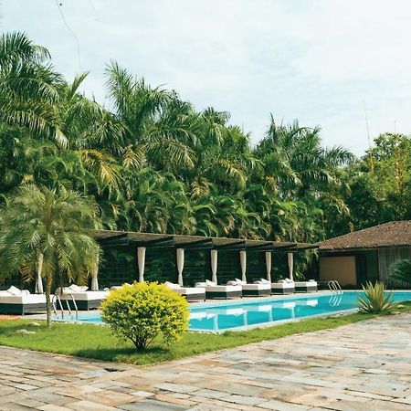 Hotel Kasara Chitwan Patlahara Exterior foto
